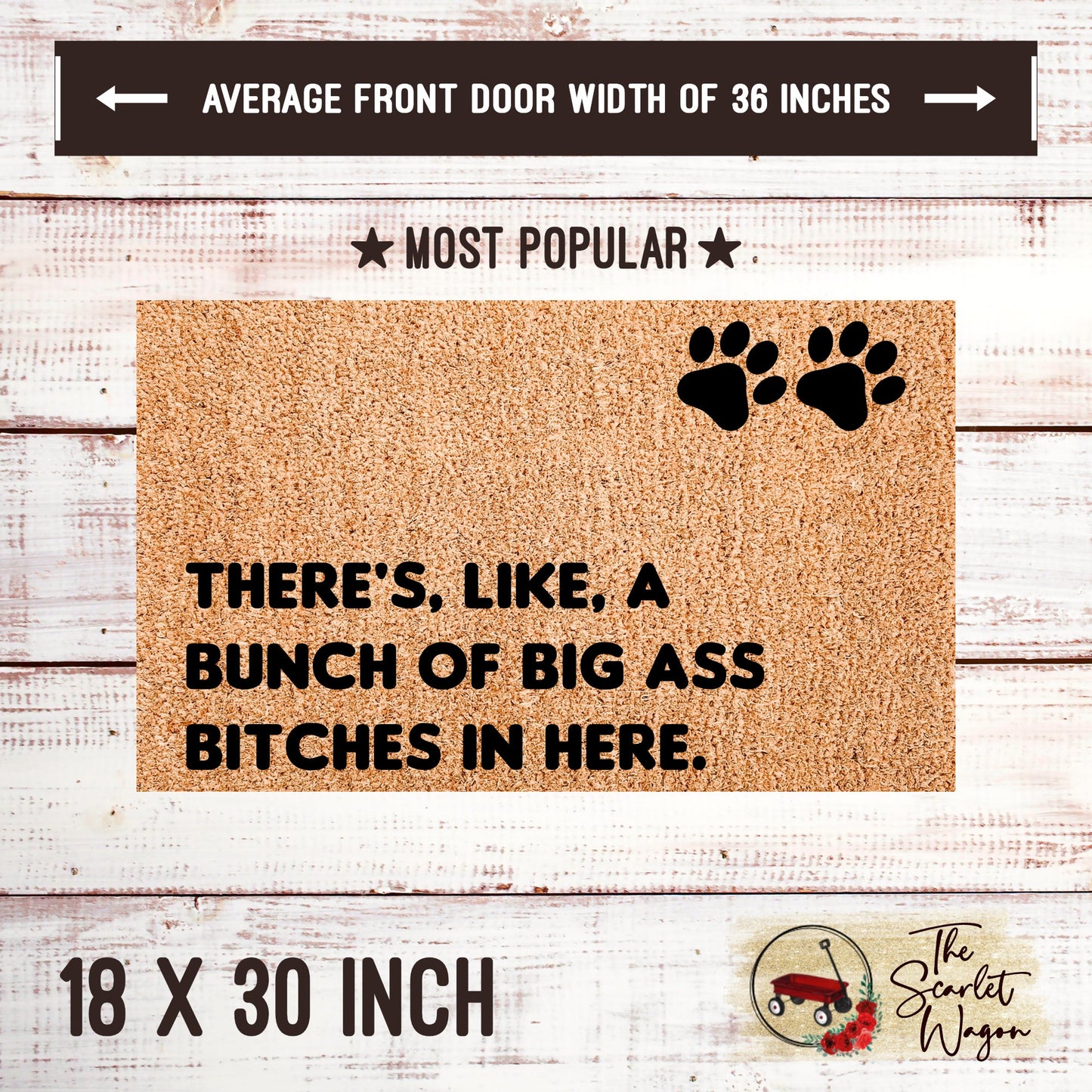 Bunch of Big Ass Bitches in Here Door Mats teelaunch 18x30 Inches (Free Shipping) 