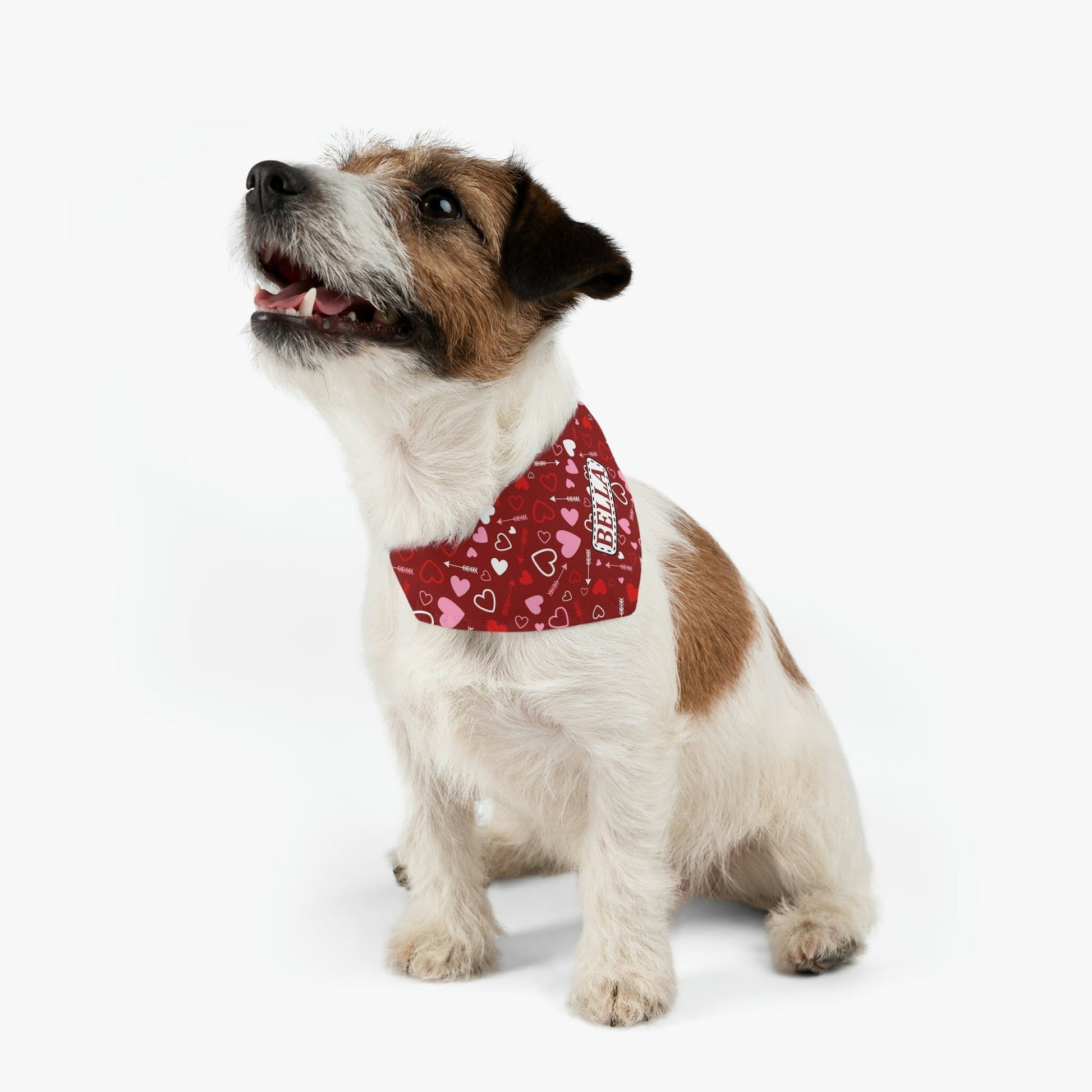 Personalized Scattered Hearts Dog Bandana Collar Pets Printify 